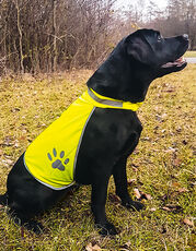 Korntex - Stretchy Hi-Vis Safety Vest For Dogs Buenos Aires Signal Yellow /Titelbild