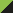 bright green/black