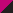 fuchsia/black