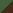 moss green/brown