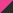 fluorescent pink/black