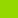 Lime Green Lime Green