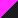 Fluorescent Pink Black