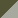 Olive Light Olive