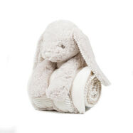 Rabbit And Blanket
