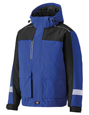 Dickies - Winter Jacket /Titelbild