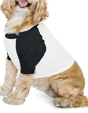 Dog Poly-Cotton 3/4 Sleeve Raglan T-Shirt