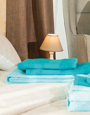 Economy Guest Towel