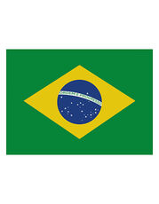 Printwear - Fahne Brasilien Brazil /Titelbild