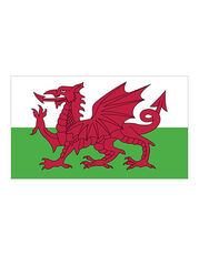 Printwear - Fahne Wales Wales /Titelbild