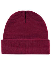 rPET Beanie