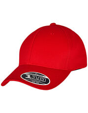 FLEXFIT - Flexfit 110 Curved Visor Snapback Red Dark Grey Grey Black Navy Olive /Titelbild