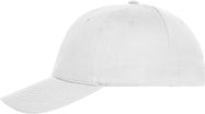 6 Panel Bio Kappe
