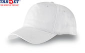 Target | Low Promo Baseball Cap