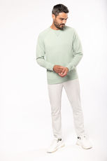 Herren Bio Raglan Sweater