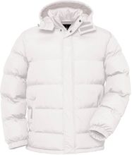 B&C | Cocoon + /men Herren Steppjacke