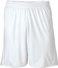 James & Nicholson | JN 381 Team Shorts